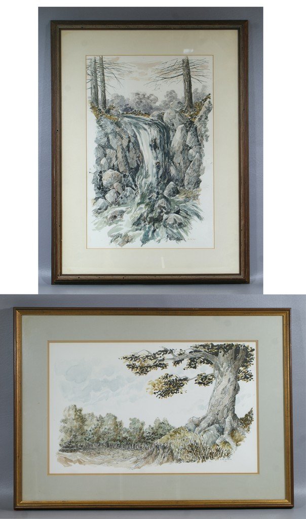Andrew Nathaniel Wyeth, (ANW), American, b 1948, (2) w/: Andrew Nathaniel Wyeth, (ANW), American, b 1948, (2) w/c, pen & ink drawings, Waterfall 13 1/2" x 21 1/2", initialed ANW, & An Ancient Tree, 21 1/2" x 13 1/2", dated 1971. Andrew Nathaniel Wyeth was b