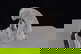 item-208340759=3