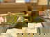 item-208340769=12