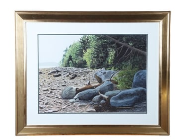 Thomas Newnam "Rugged Maine Coastline"