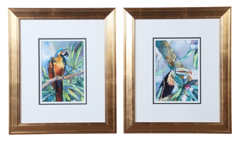 K.K. Shields (2) Paintings "Macaw" and "Toucan"