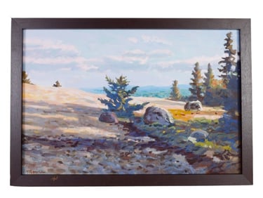 Scott Moore "Dwarf Spruce Maine"