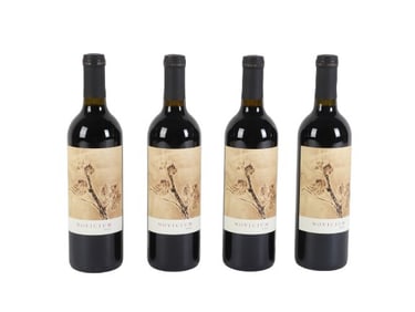 (4) 2020 Continuum, Novicum