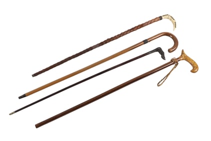 (4) Walking Sticks