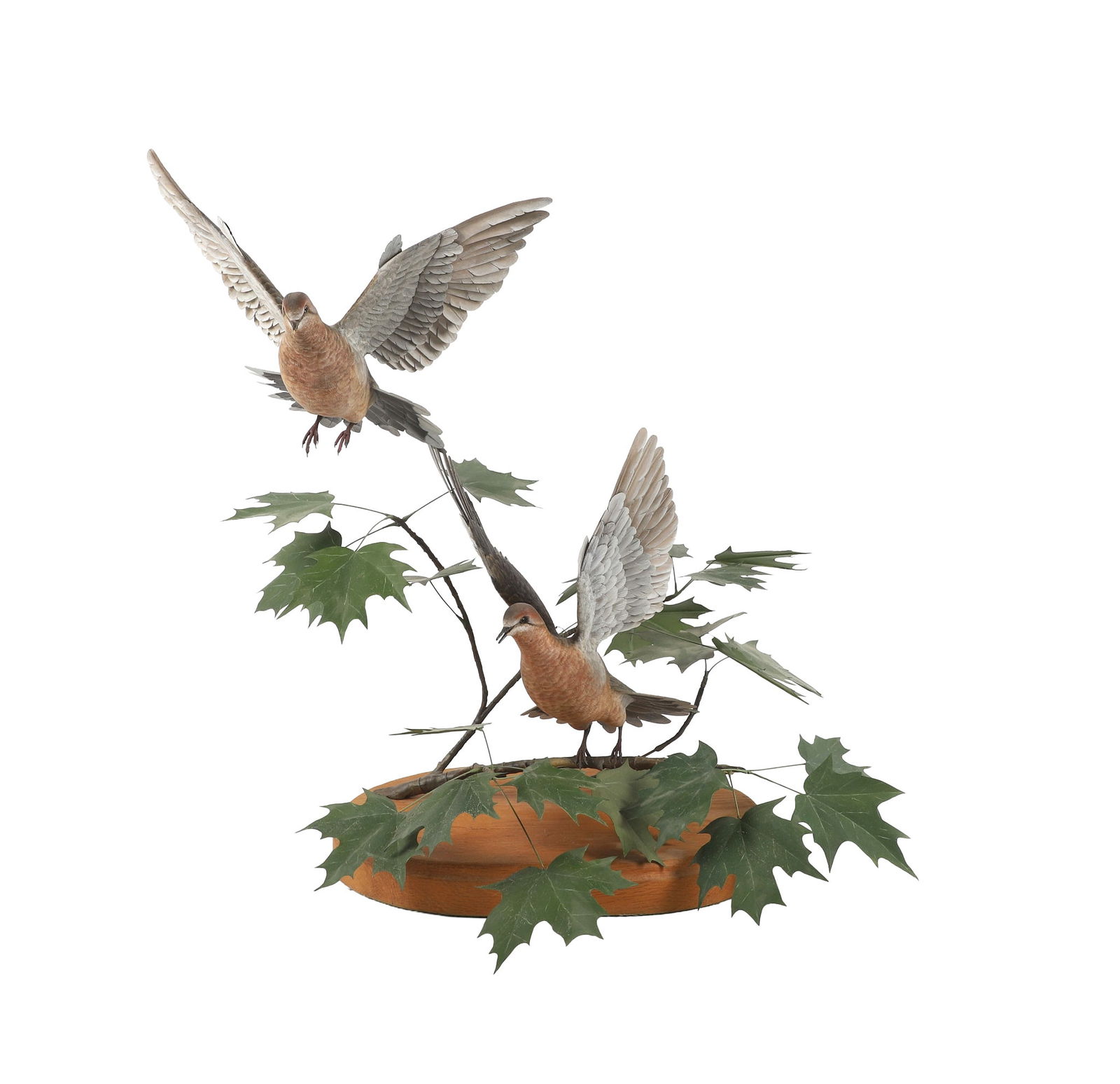 Wayne Edmondson, "Upland Game Birds 1 & 2": Wayne Edmondson, "Upland Game Birds 1 & 2", "Mourning Doves" wood, metal and epoxy sculpture, "completed in August of 1984. The life size sculpture freezes the action catching two mourning doves with