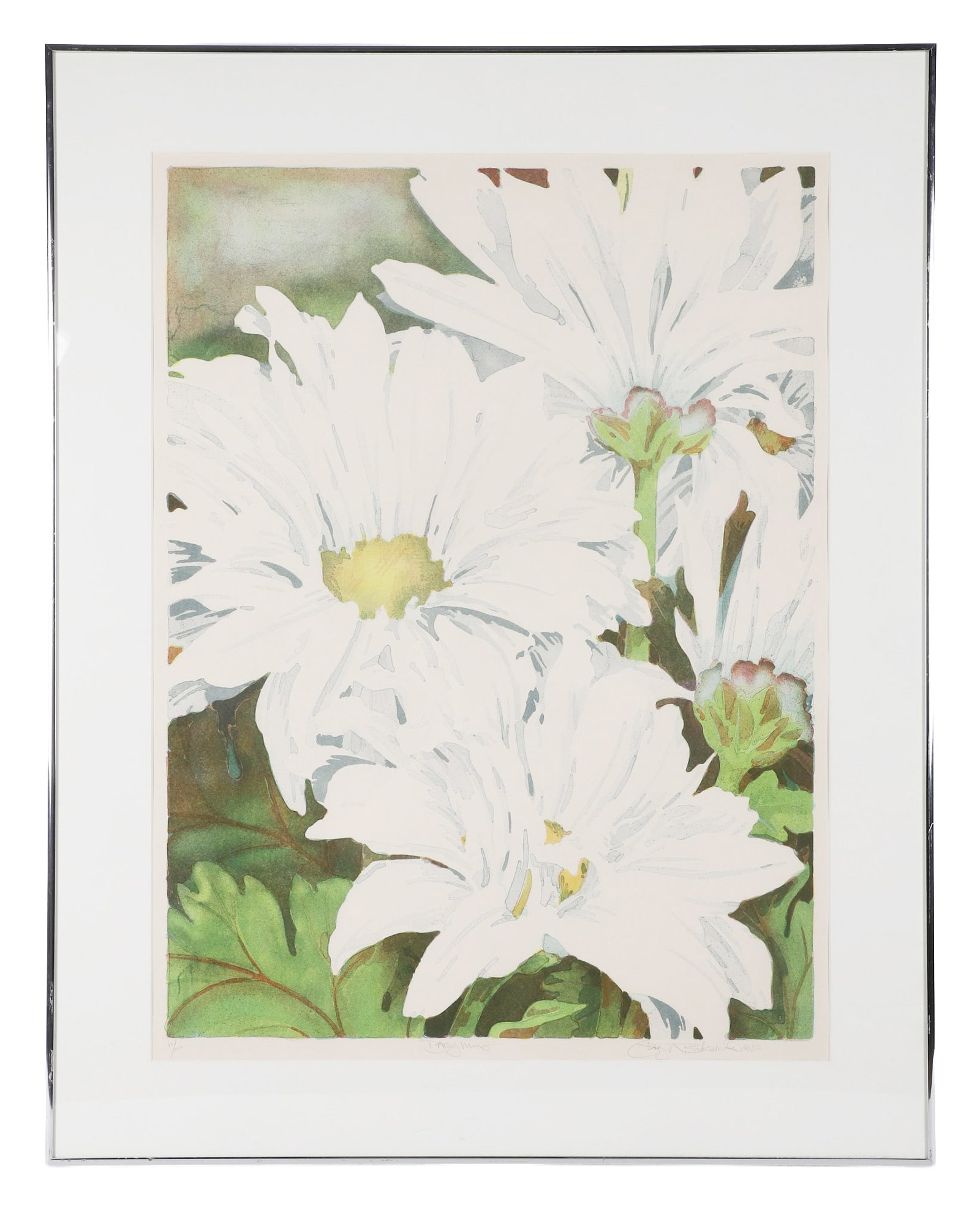Bukovnik, Gary (American b.1947): Gary Bukovnik American b.1947 Daisy Mums Lithograph Botanical of White Daisy Mums. Lithograph of an edition, numbered 12/100. Signed lower right and dated 1980. Framed under glass.