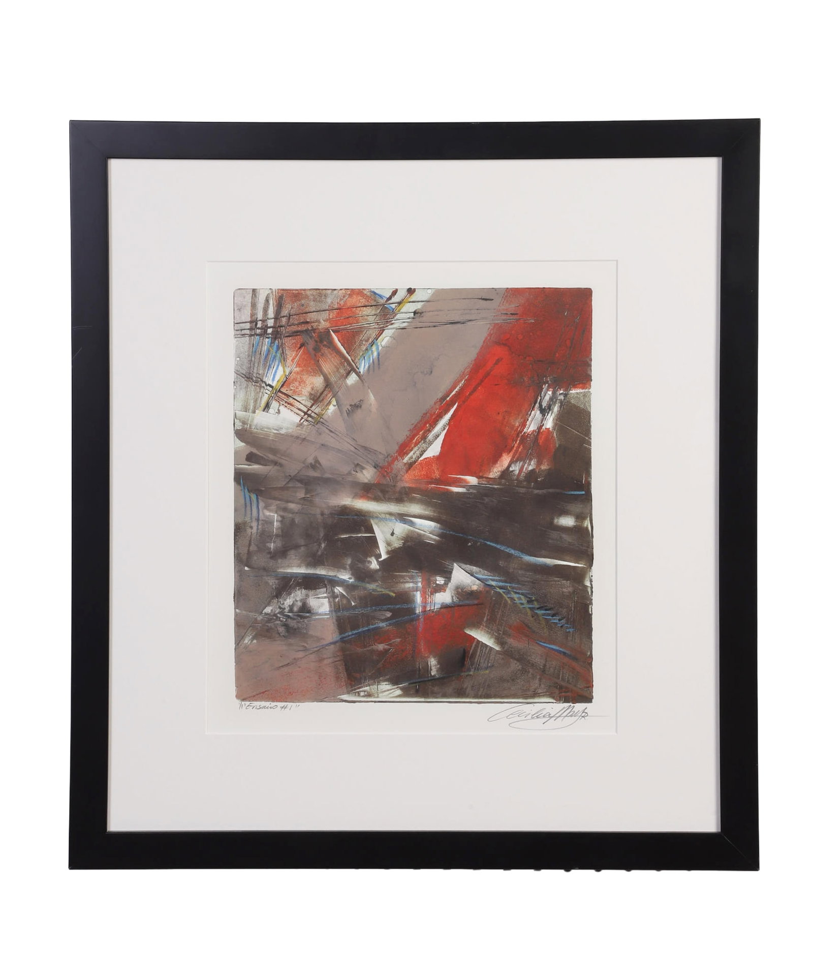 Mayr, Cecilia (Brazilian b.1955): Cecilia Mayr Brazilian b.1955 Ensario #1 Monotype Of an edition, numbered 1/1. Signed lower right. Framed under glass. Image Height: 15 1/2 in, Image Width: 13 3/4 in, Framed Height: 25 in, Framed