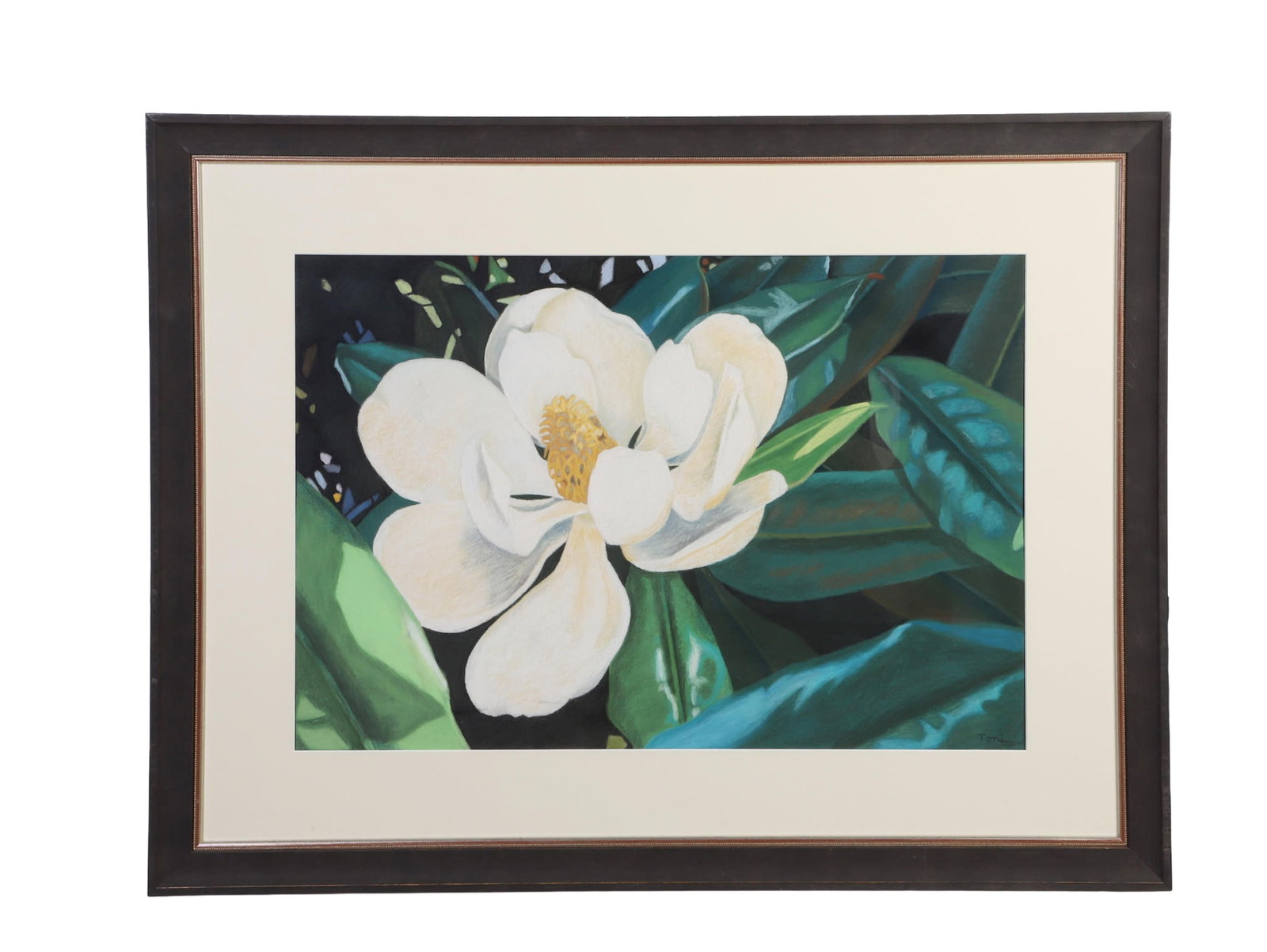 Lindahl, Toni (American 20th C): Toni Lindahl American 20th C Untitled (Magnolia) Pastel Framed under glass. Signed lower right. Image Height: 20 1/4 in, Image Width: 30 in, Framed Height: 21 3/4 in, Framed Width: 41 1/4 in