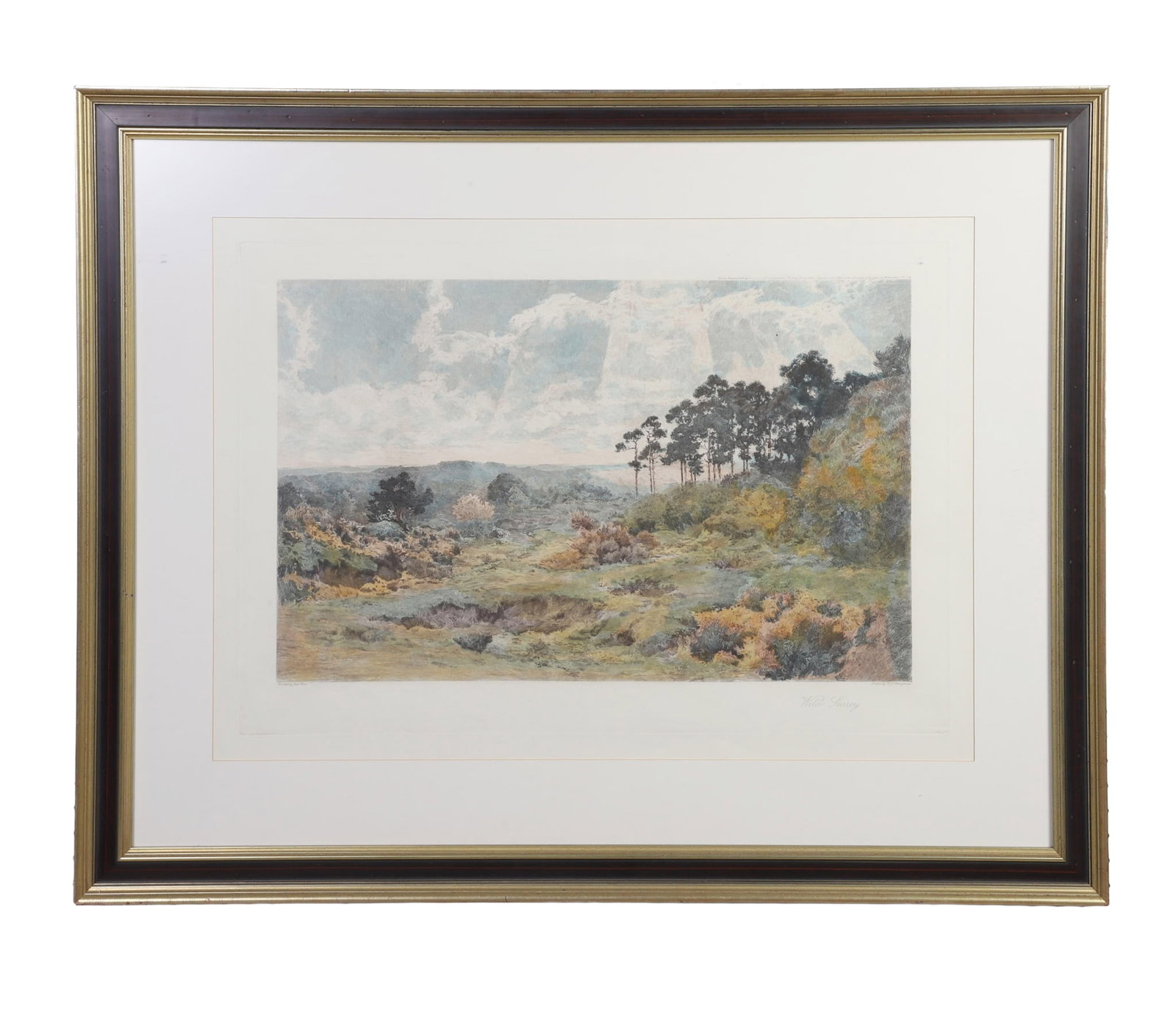 Antique hand-colored etching (1 of 7)