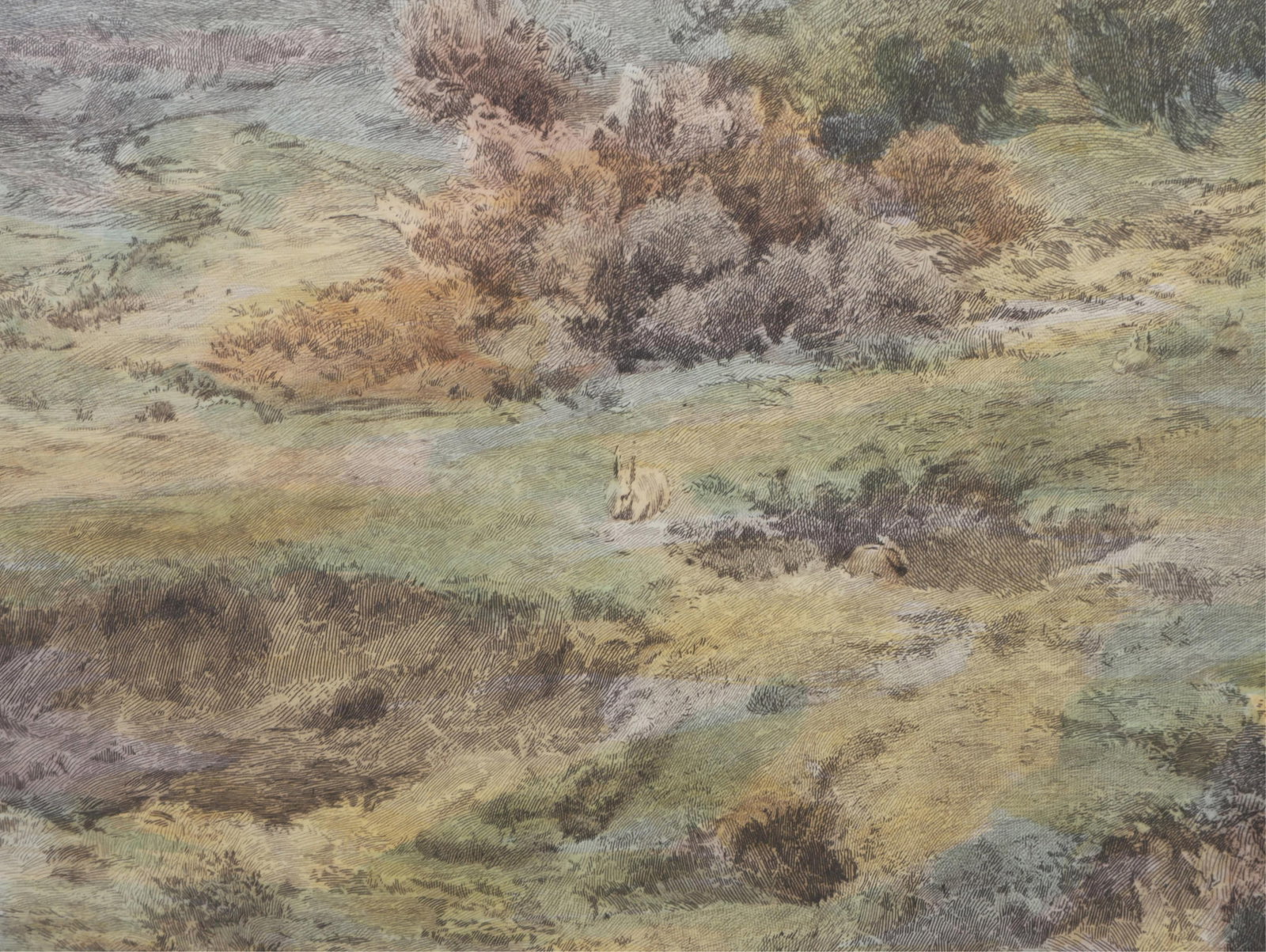 Antique hand-colored etching - 3