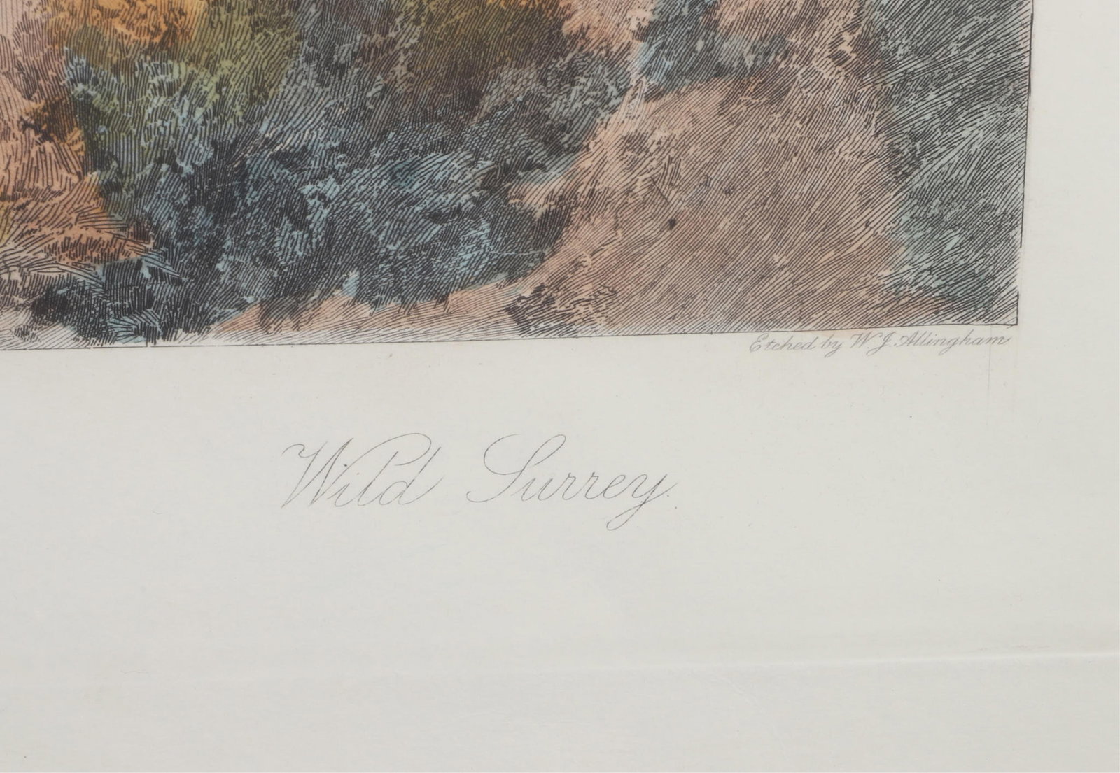 Antique hand-colored etching - 4