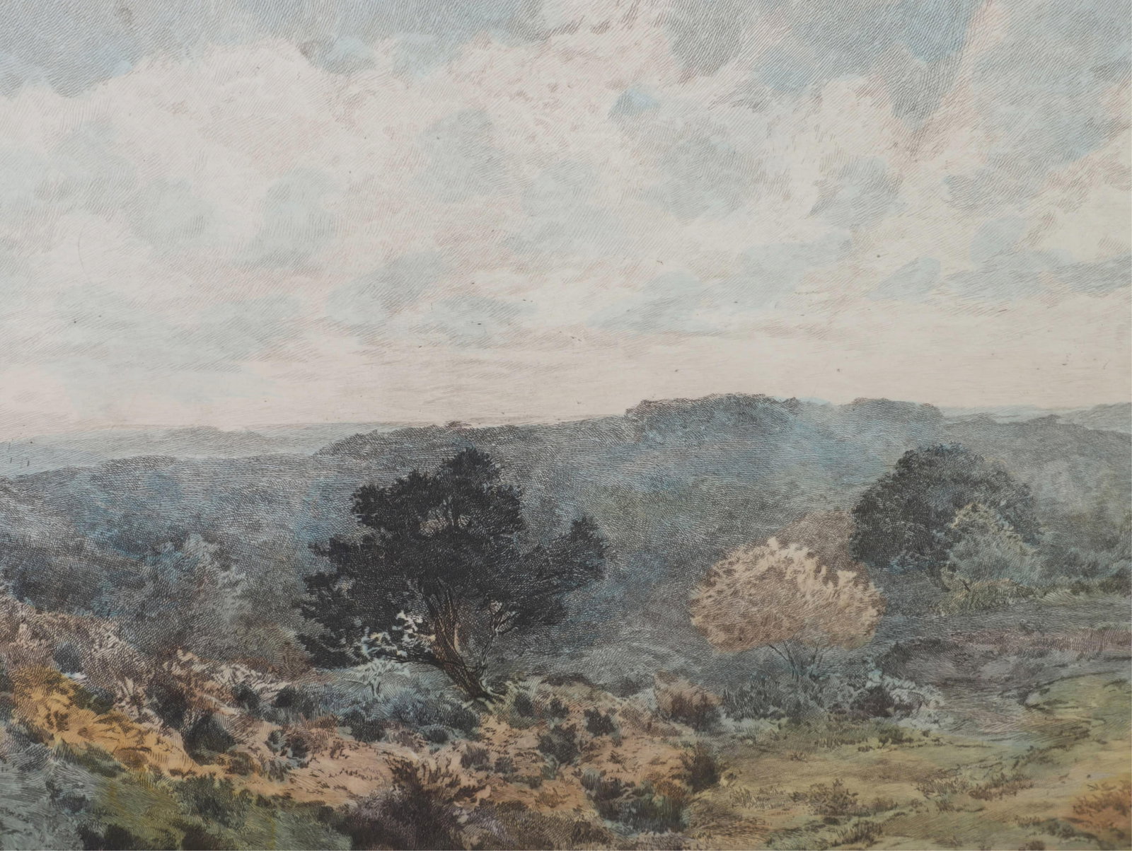 Antique hand-colored etching - 6
