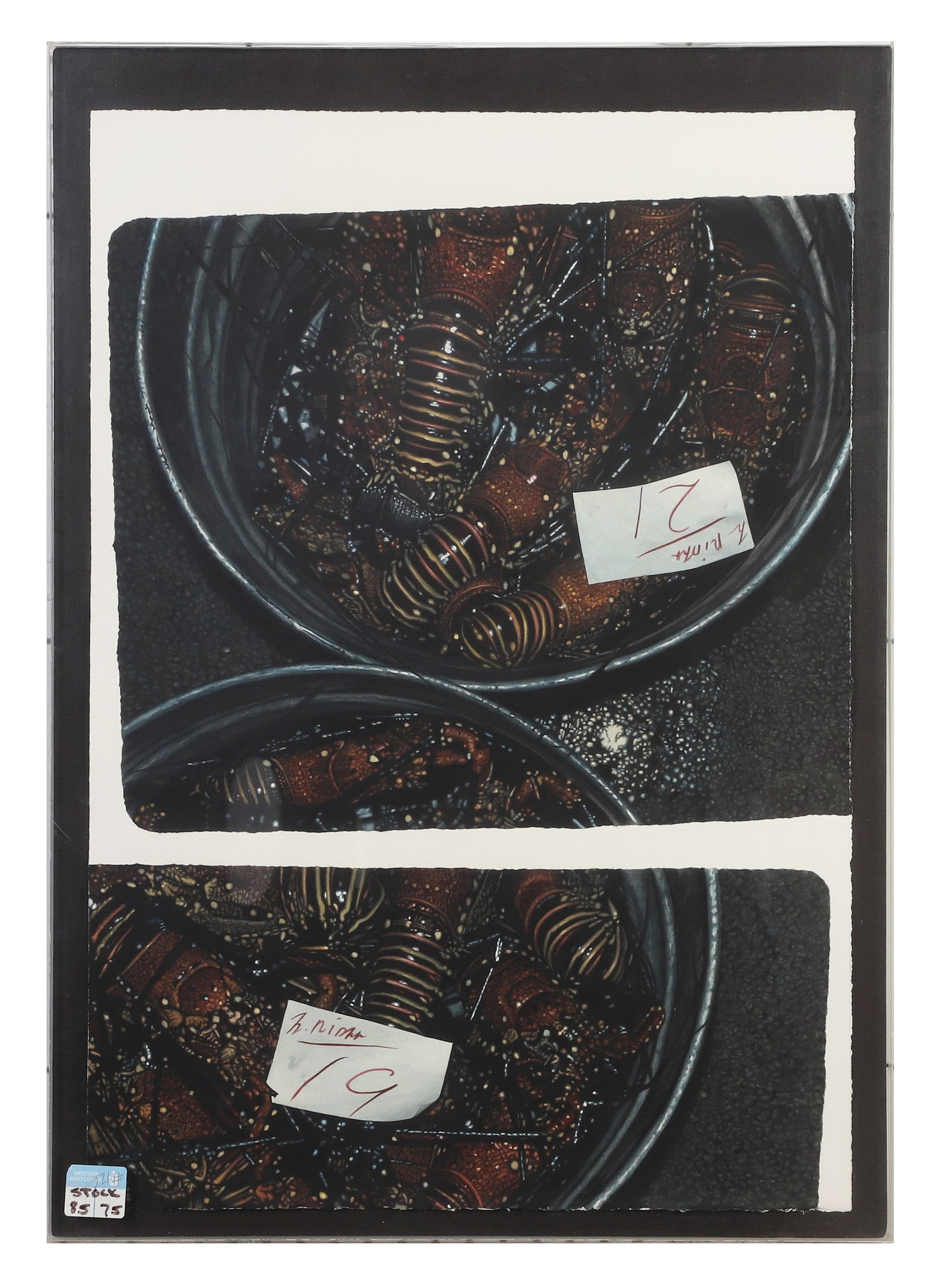 Young, Doug (American 20th C): Doug Young American 20th C Hawaiian Lobster Watercolor on paper Photo-realistic composition. Framed under glass.