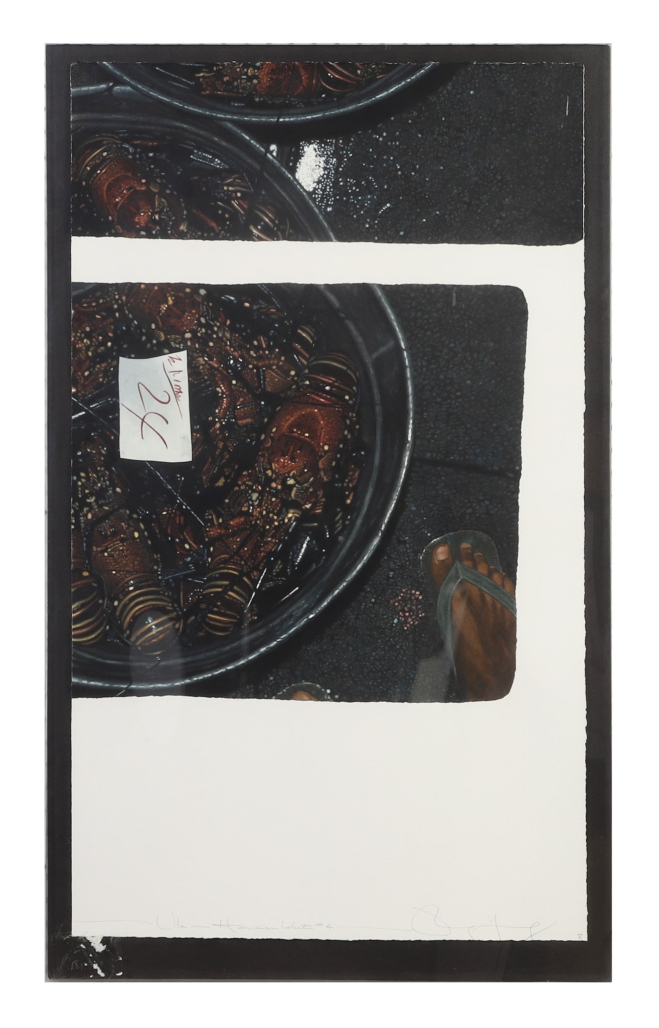 Young, Doug (American 20th C): Doug Young American 20th C Hawaiian Lobster #4 Watercolor on paper Photo-realistic composition. Pencil signed. Framed under glass. Image Height: 38 in, Image Width: 22.5 in