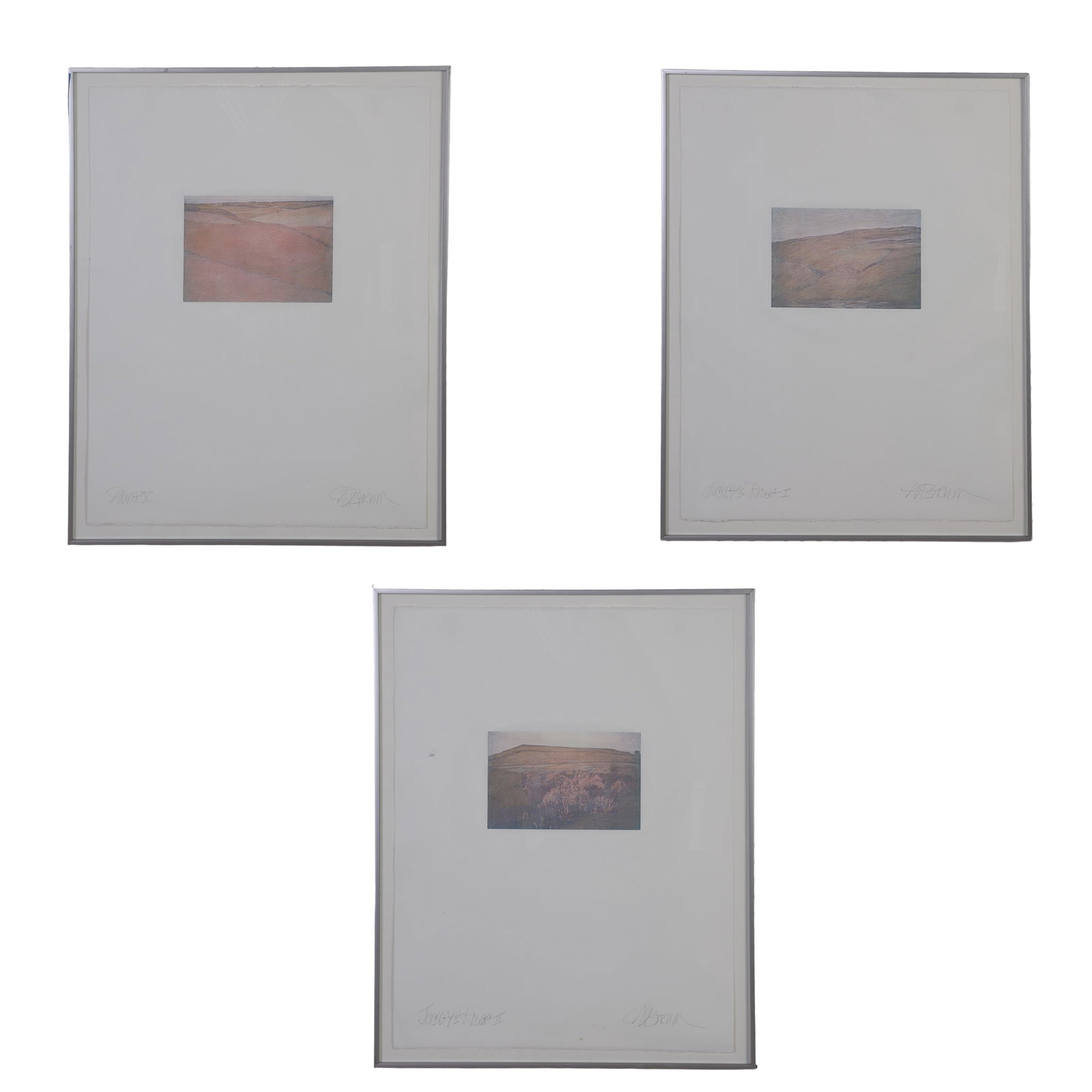 Byrum, Don (American 20th C) (1 of 14)