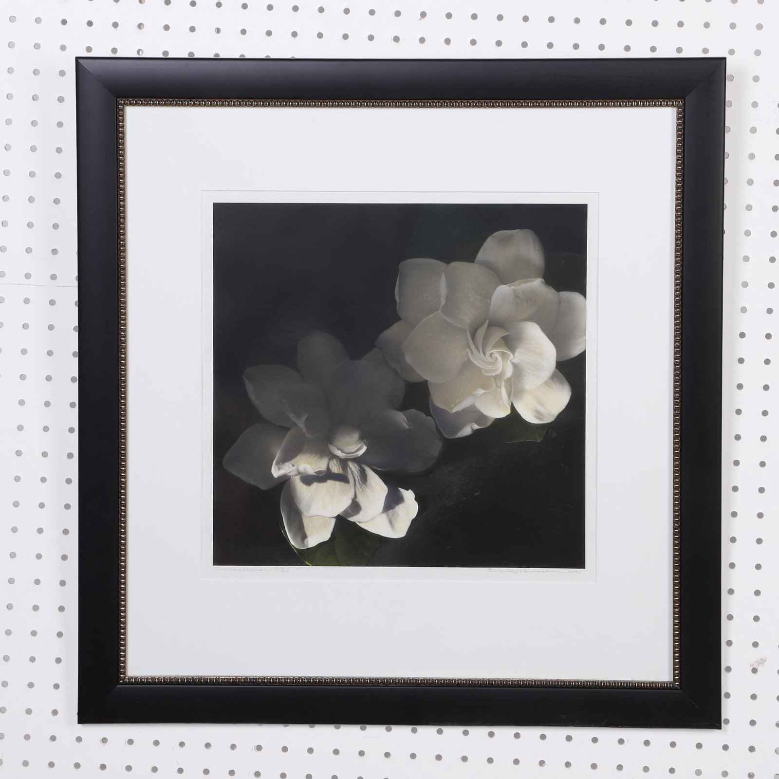 Carnochan, Brigitte Hoy (American b.1941): Brigitte Hoy Carnochan American b.1941 Two Gardenias, 2001 Hand colored silver gelatin print Numbered 21/25. Framed under glass. Pencil signed. Image Height: 14 1/8 in, Image Width: 14 3/8 in, Framed