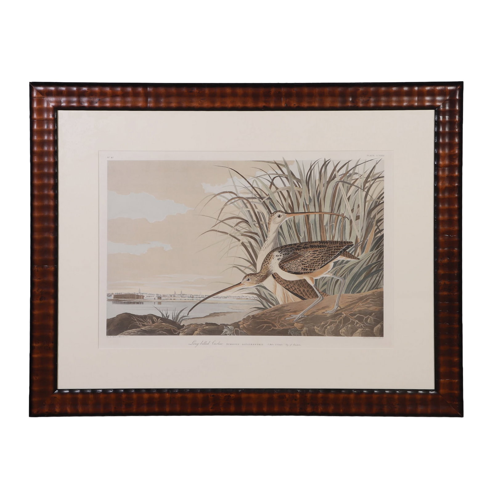Audubon, John James (1785-1851) (1 of 7)