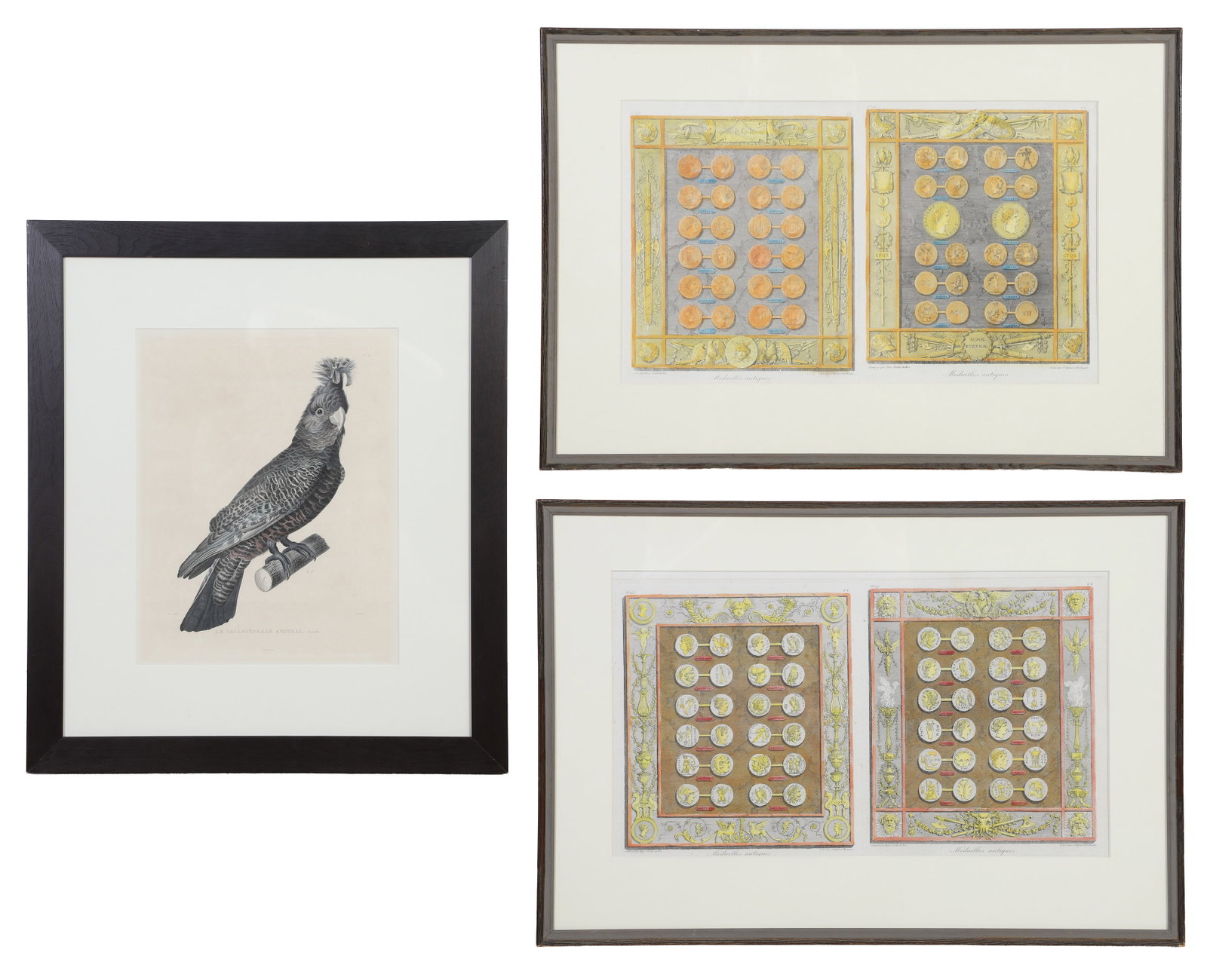 (3) Antique Colored Etchings (1 of 9)