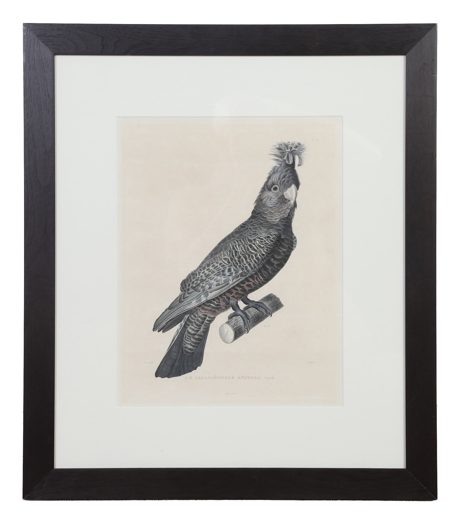 (3) Antique Colored Etchings - 2