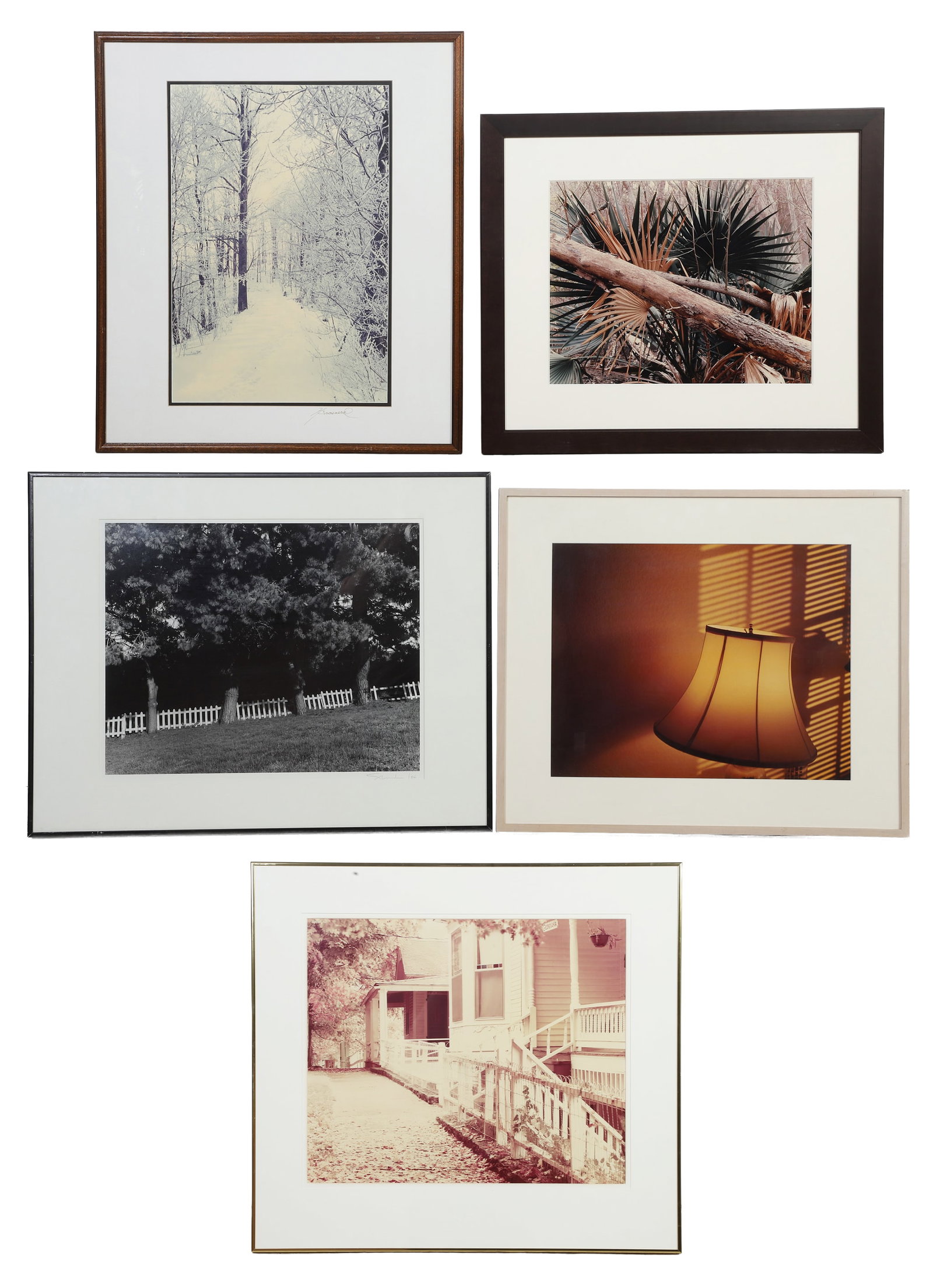 (5) Photographic Works (1 of 9)