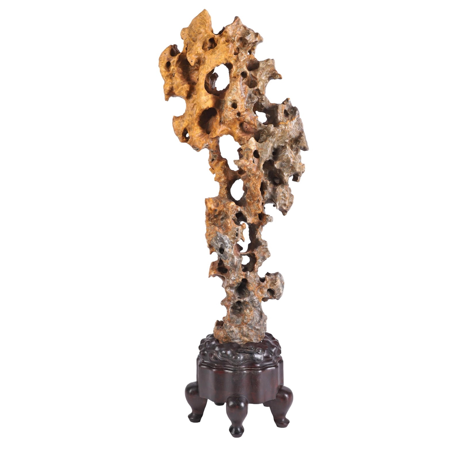Large Scale Chinese Taihu Gongshi, Scholar's Rock: Large Scale Chinese Taihu Gongshi, Scholar's Rock Large Scale Chinese Taihu Gongshi, Scholar's Rock. Mottled limestone. Mounted on carved hardwood stand. Size: 37" H x 13" W x 10" D