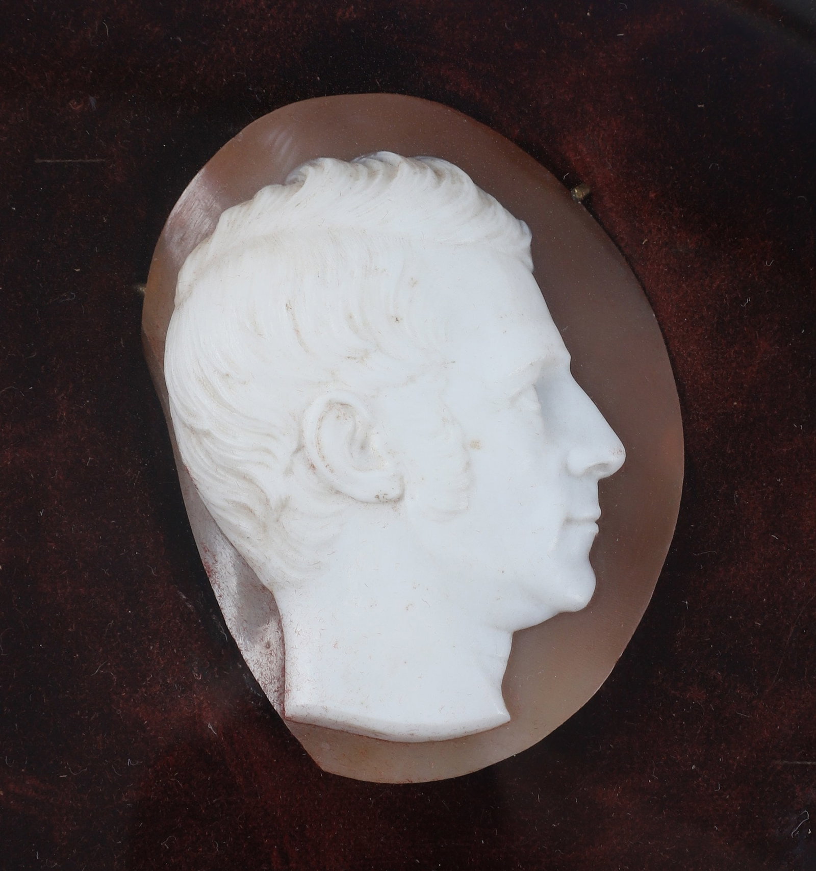 19th C. Framed Shell Cameo - 2