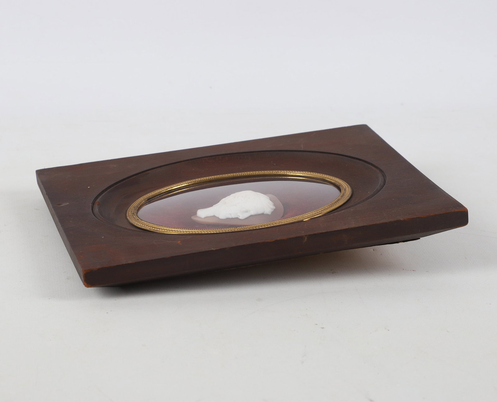 19th C. Framed Shell Cameo - 4