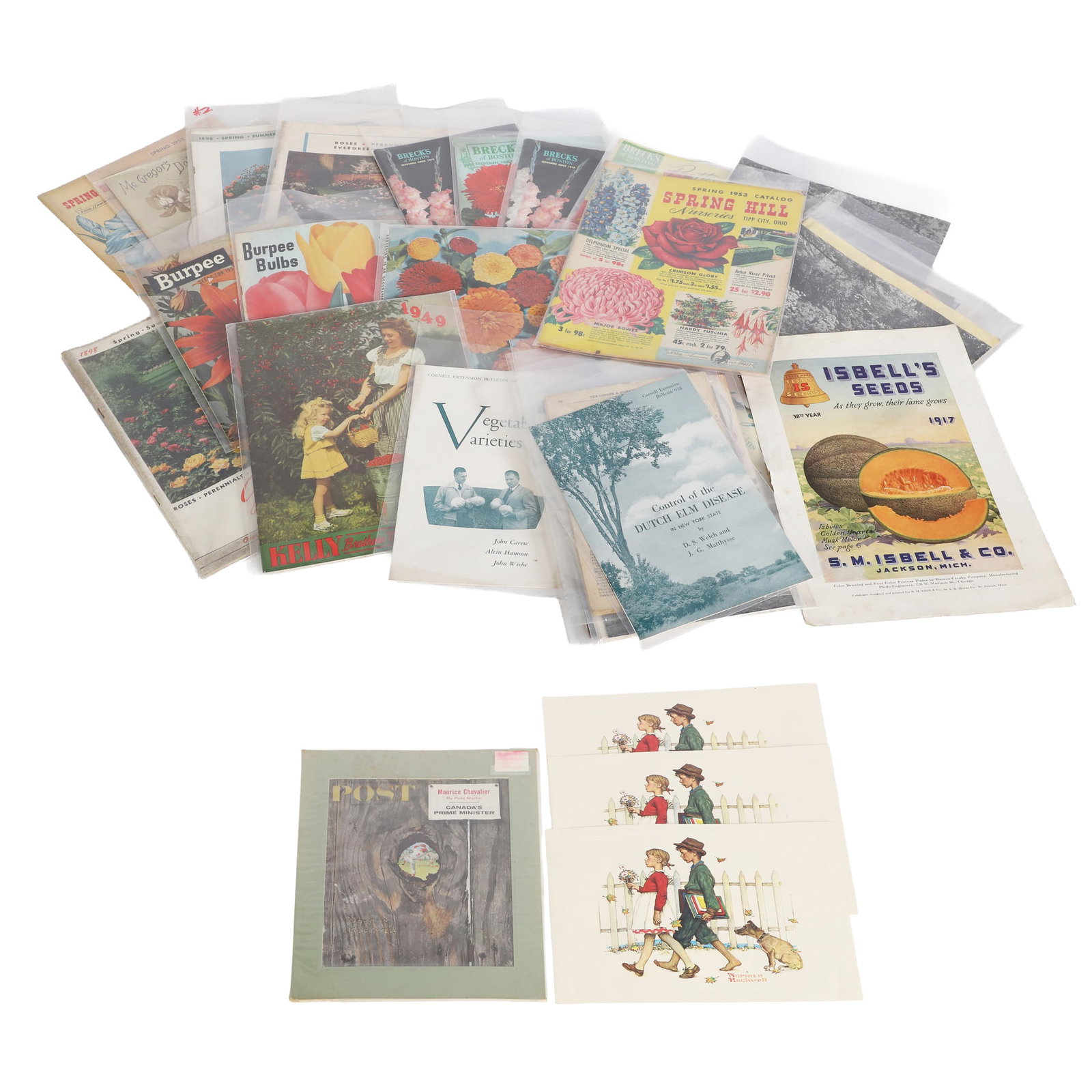 Vintage Seed Catalogues & Ephemera (1 of 8)