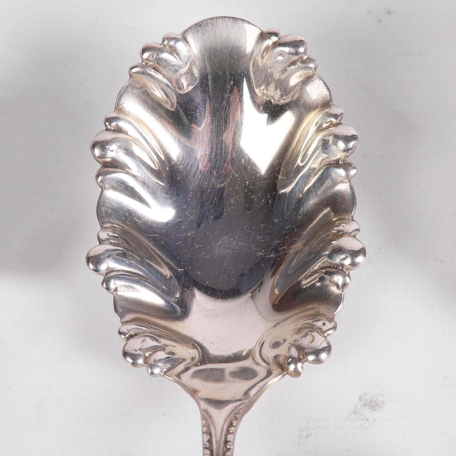 (11) Silver Shell Spoons - 6
