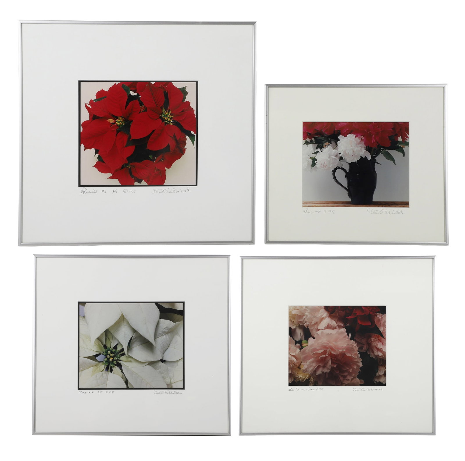 (4) David A. McClintock Photographic Works: (4) David A. McClintock Photographic Works David McClinotock (Arden, Delaware) Works include color photograph, Poinsettia #3, 1999, Poinsettia #1, 1998, numbered 5/5, Bee's Eye View, 1998, and Peonies