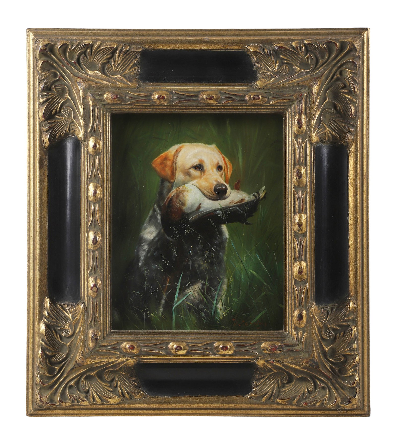 L. Cassidy, Sporting Golden Retriever Portrait