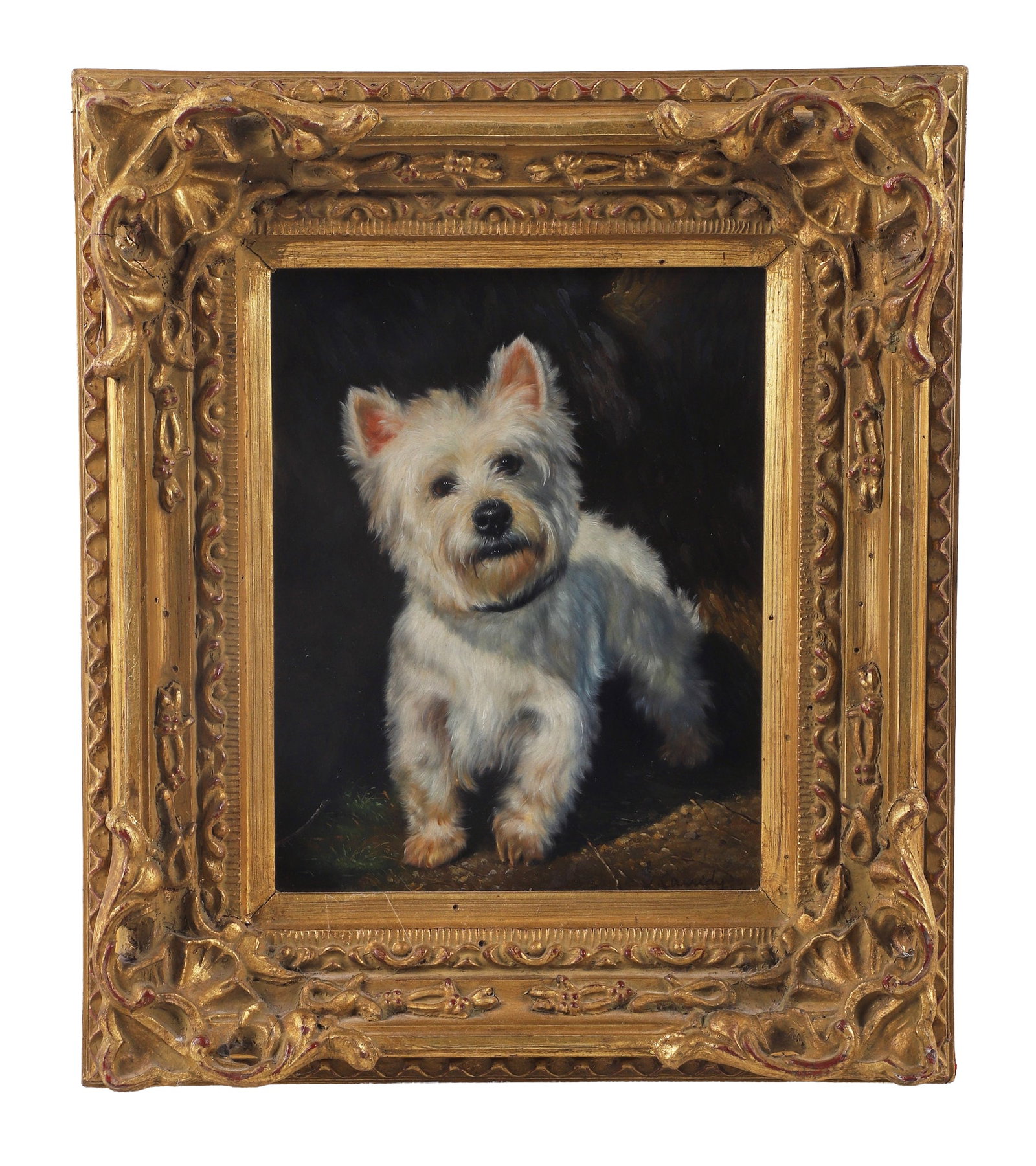L. Cassidy, West Highland White Terrier Portrait