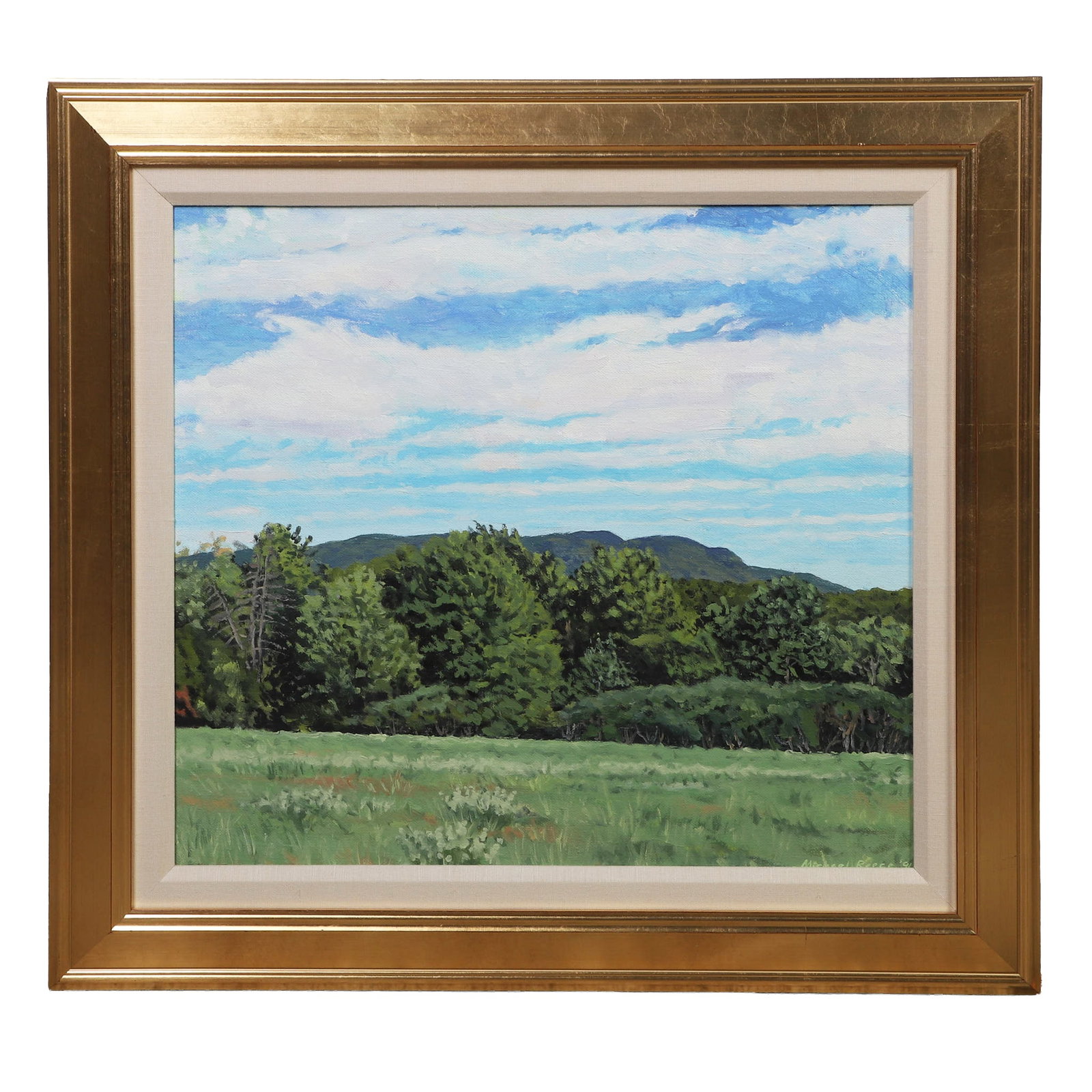 Michael Reece (Maine, 20th/ 21st C.) Regionalism Landscape: Michael Reece (Maine, 20th/ 21st C.) Regionalism Landscape Titled: "Camden Hills from Hope". A view from across the glen depicting lush trees under an expansive sky. Oil on linen. 18" H x 20" W sight,