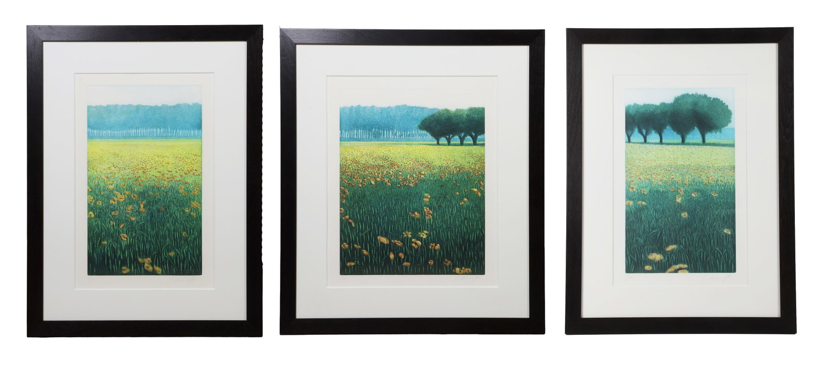 Oliviero Masi (Italian, b. 1948) Three Lithographs / Triptych.: Oliviero Masi (Italian, b. 1948) Three Lithographs / Triptych. Titled: "Poppy Field I, II, and III." Each of the triptych is pencil signed and numbered 15/150. Largest 19.5" H x 15" W sight, 31.75" H 
