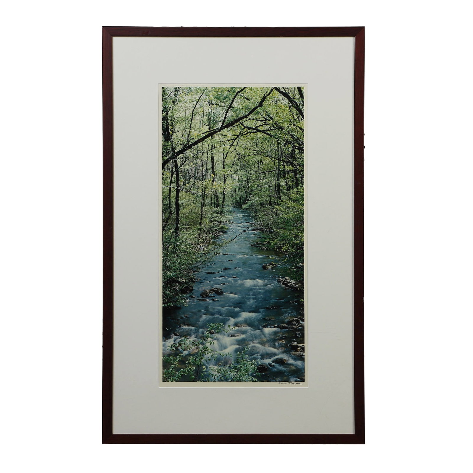 Gene Taylor (American, 20th/21st C.) Large Format Nature Photograph.: Gene Taylor (American, 20th/21st C.) Large Format Nature Photograph. Titled: "Fall Stream Little Stony." Signed. 23.25" H x 11.5" W sight, 32.25" H x 20.5" W frame.