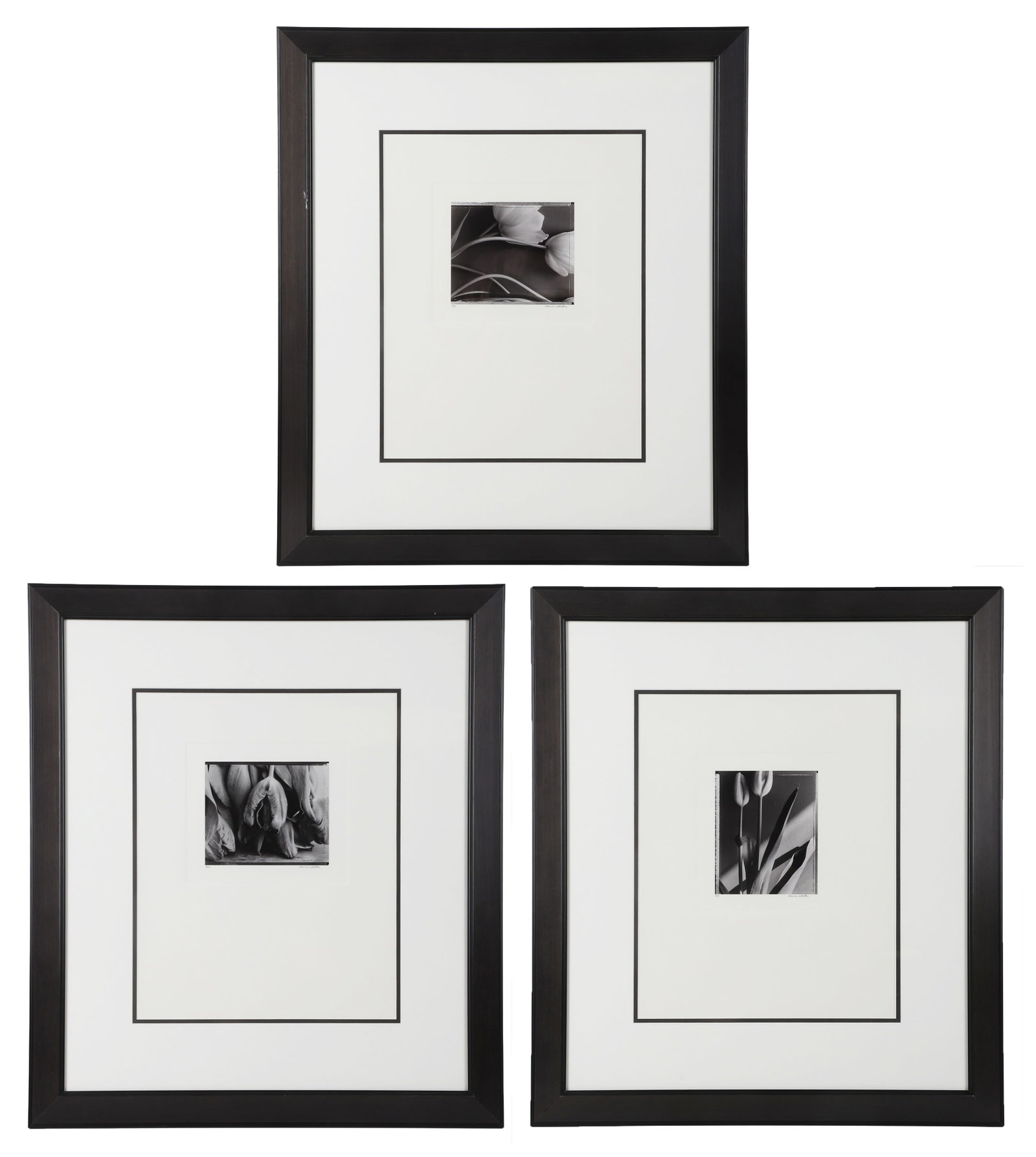 (3) Dennis Letbetter (American, b.1954), Photographs.: (3) Dennis Letbetter (American, b.1954), Photographs. Titled: "Tulips, 15/20, 17/20 and 20/20." Each Pencil signed and numbered 8/15. 1992. 6.5" H x 5.5" W sight, 18.25" H x 14.75" W frame.