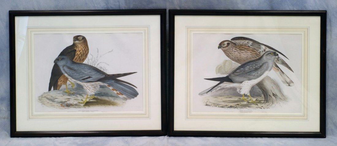 J&E Gould, British, 19th c, (2) hand colored: J&E Gould, British, 19th c, (2) hand colored lithographs from The Birds of Europe by John Gould, F.L.S., London, Published by the Author, 1837, marked "Drawn from Nature & On Stone by J. E. Gould" and