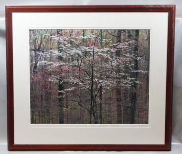 Christopher Burkett, American, born 1951, Photograph,: Christopher Burkett, American, born 1951, Photograph, Pink and White Dogwoods, Kentucky, 1991, No visible signature, Printed in 1996, #127, Glazed, matted and framed, Provenance: Spanish Bay Galleries