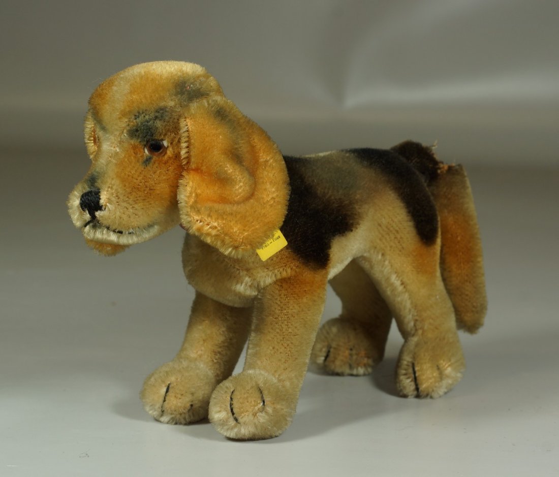Steiff Beagle, 8", nickel ear button, yellow tag,: Steiff Beagle, 8", nickel ear button, yellow tag, broken tail