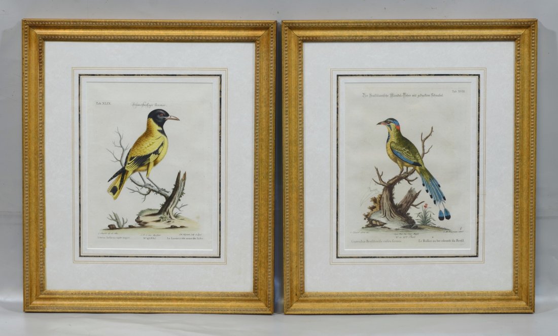 Pair of Johann Michael Seligmann (German, 1720-1762), (1 of 1)