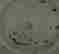item-43740659=4