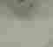 item-43740659=5