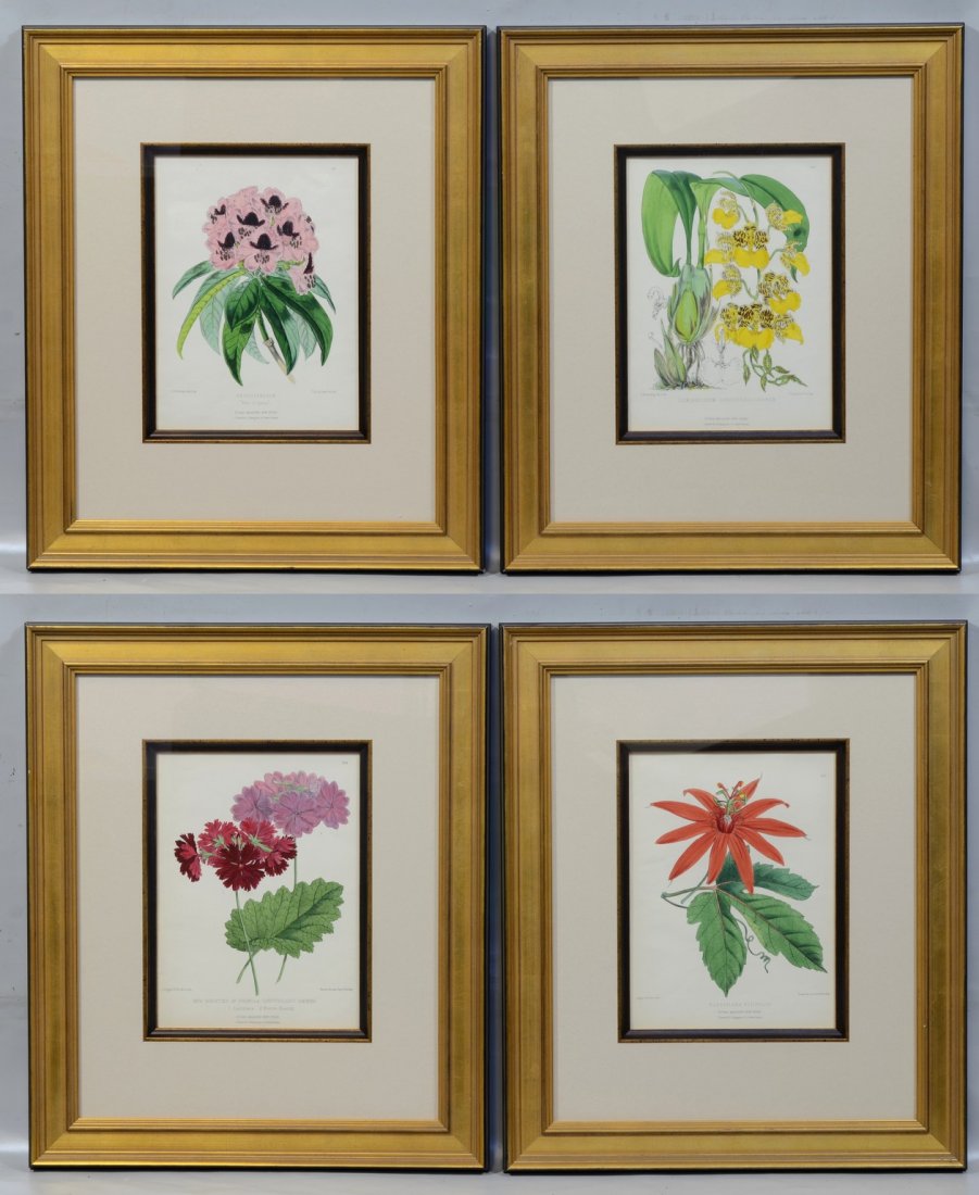 Set of 4 Plates from The Floral Magazine: Comprising (1 of 3)