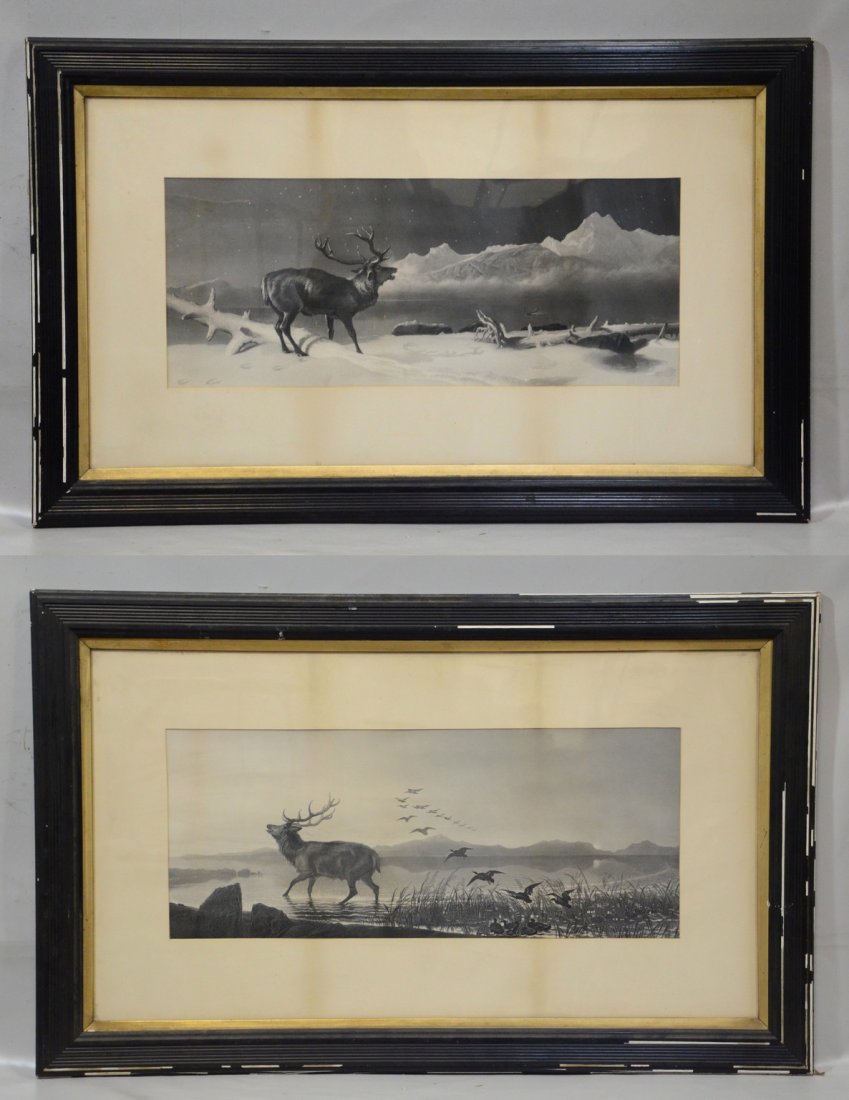 (2) 19th Century Engravings, Deer, each 11" x 27"sight, (1 of 3)