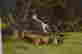 item-47521439=4