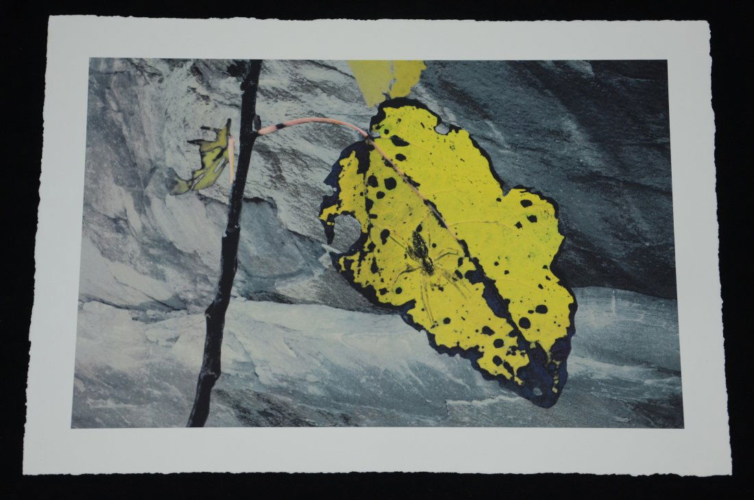 Peter Campus (American, b 1937), archival iris print on (1 of 2)