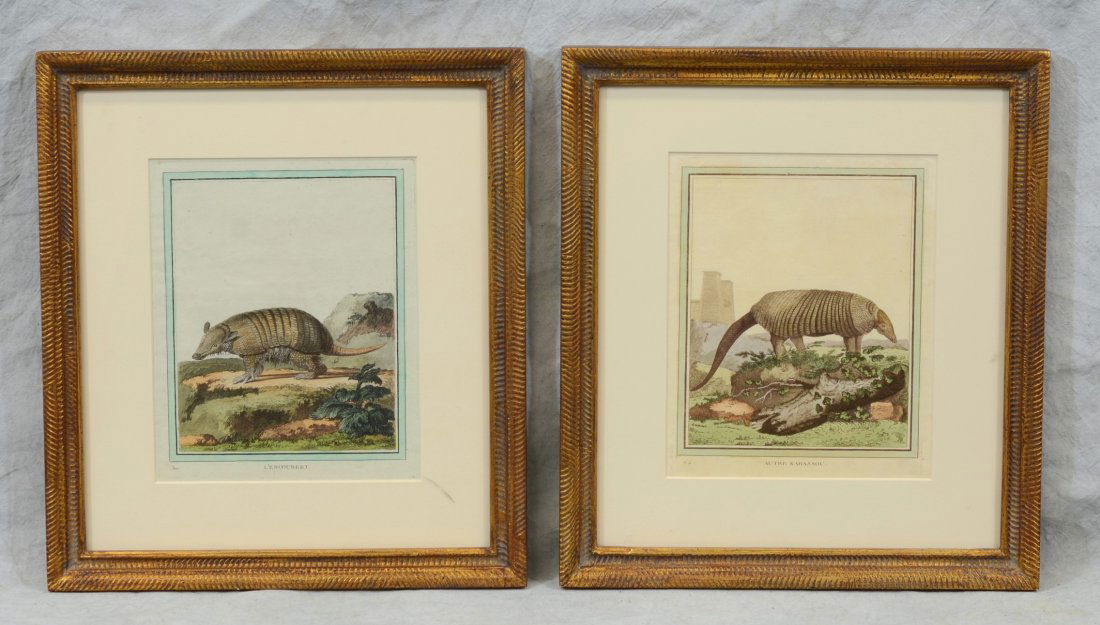 Comte de Buffon, Georges-Louis Leclerc (French, 18th (1 of 1)