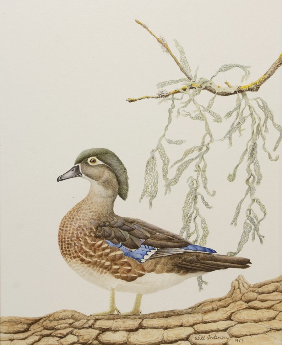 Walt Anderson (American, 1903-1965), watercolor, Duck (1 of 3)
