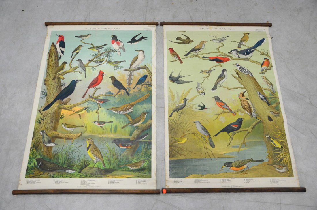 Set of (2) Vintage Audubon Bird Charts #1 and #2, (1 of 1)