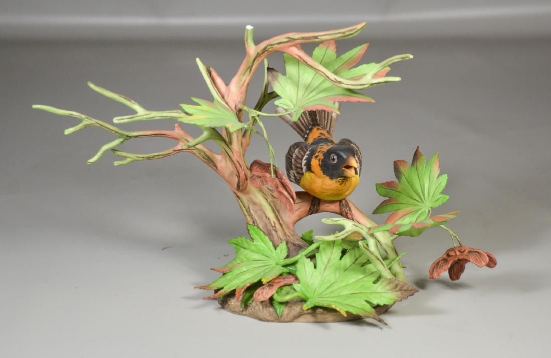 Boehm Black Headed Grosbeak porcelain bird figurine, (1 of 6)
